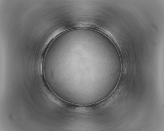 X0000113051227200909101932