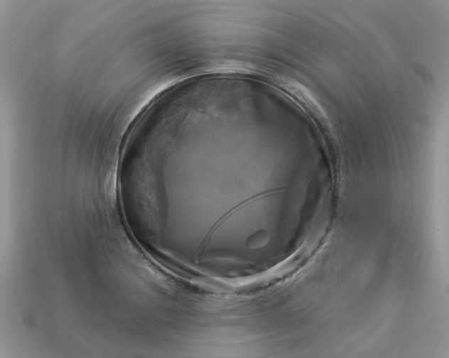 X0000113051228200909101932