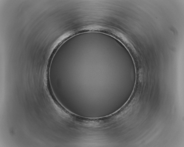 X0000113051229200909101932