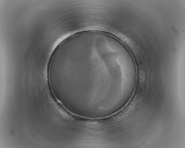 X0000113051230200909101932