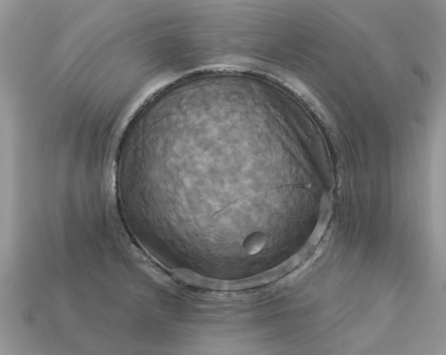 X0000113051232200909101932