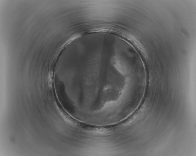 X0000113051233200909101932