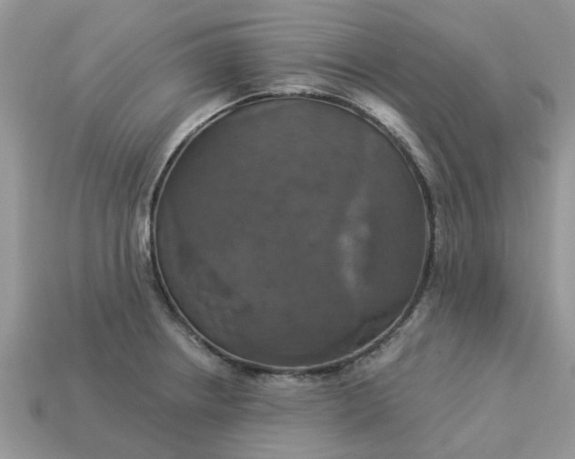 X0000113051234200909101932