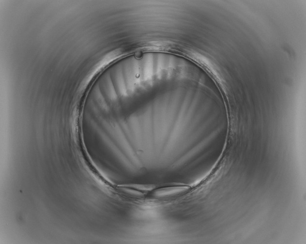 X0000113051235200909101932