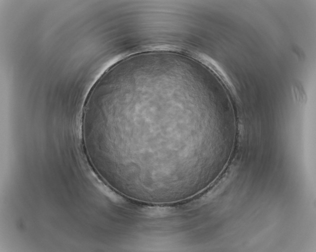 X0000113051236200909101932