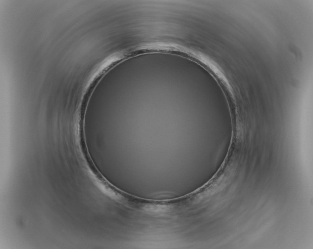 X0000113051237200909101932