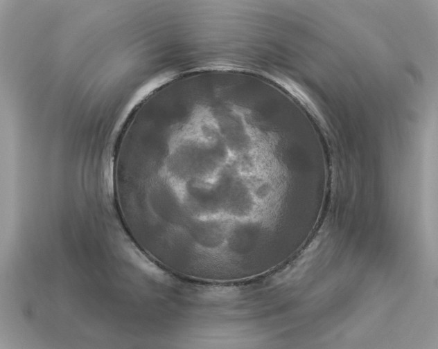 X0000113051238200909101932