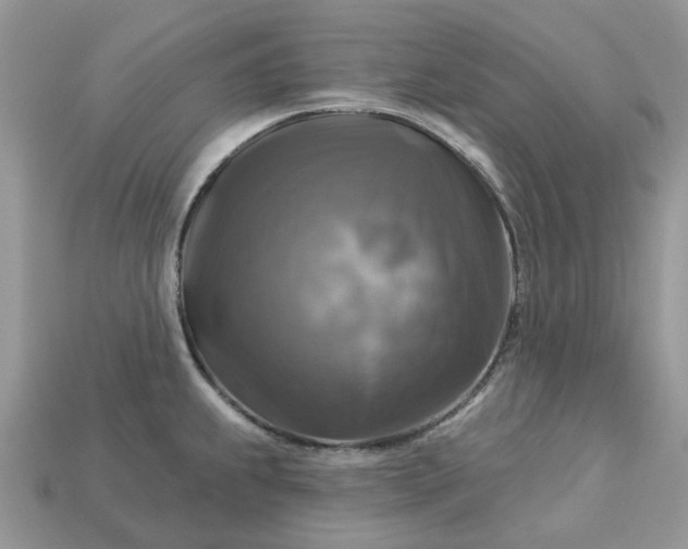 X0000113051239200909101932