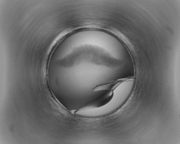 X0000113051240200909101932