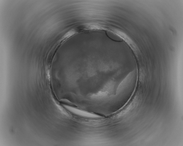 X0000113051241200909101932