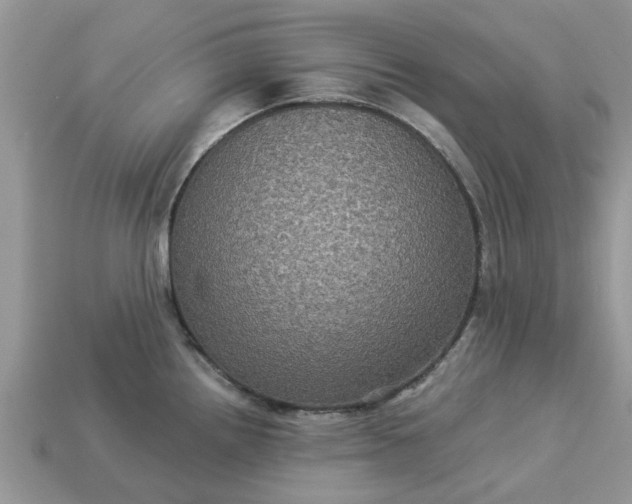 X0000113051242200909101932