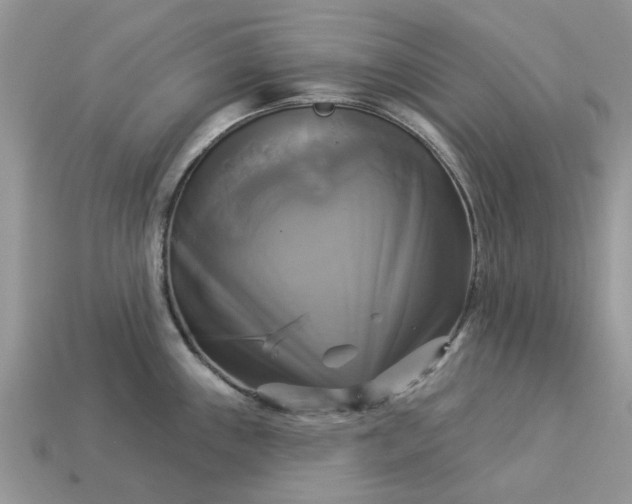 X0000113051243200909101932