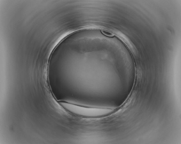 X0000113051244200909101932