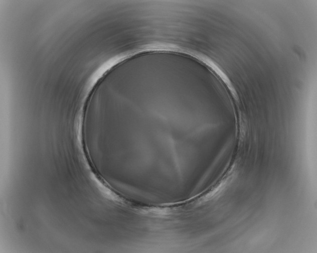 X0000113051245200909101932