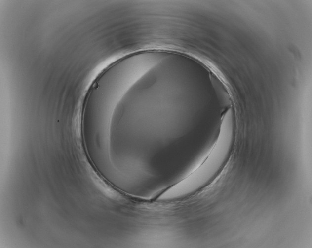 X0000113051246200909101932