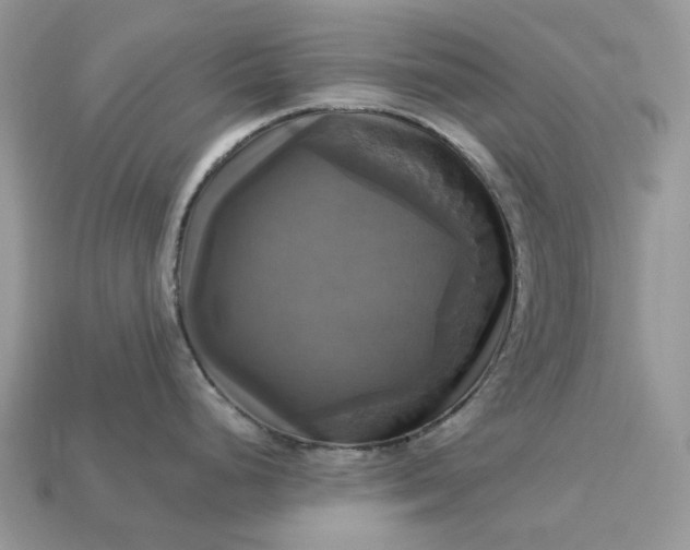 X0000113051248200909101932