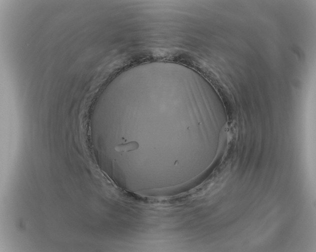 X0000113051249200909101932