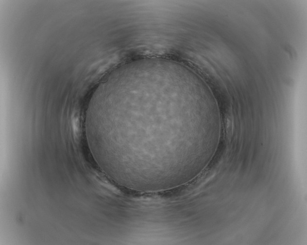 X0000113051250200909101932