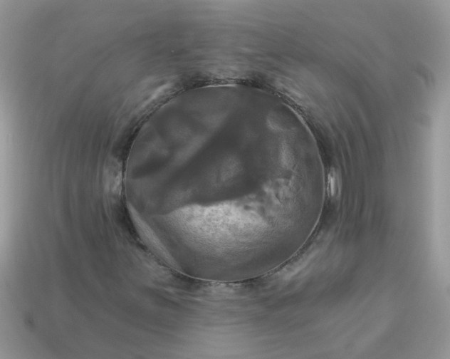 X0000113051251200909101932