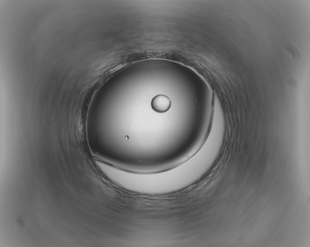 X0000113051252200909101932