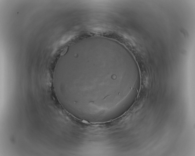 X0000113051253200909101932