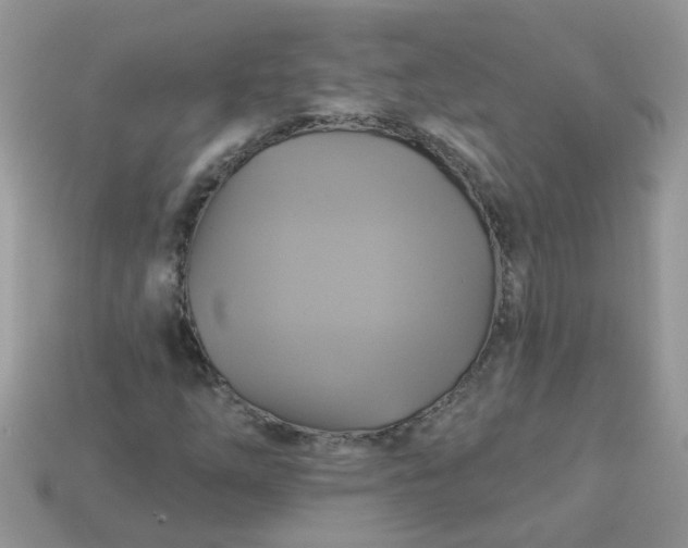 X0000113051254200909101932