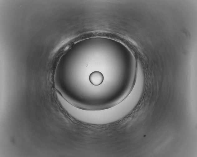 X0000113051255200909101932