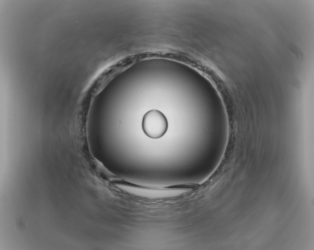 X0000113051256200909101932