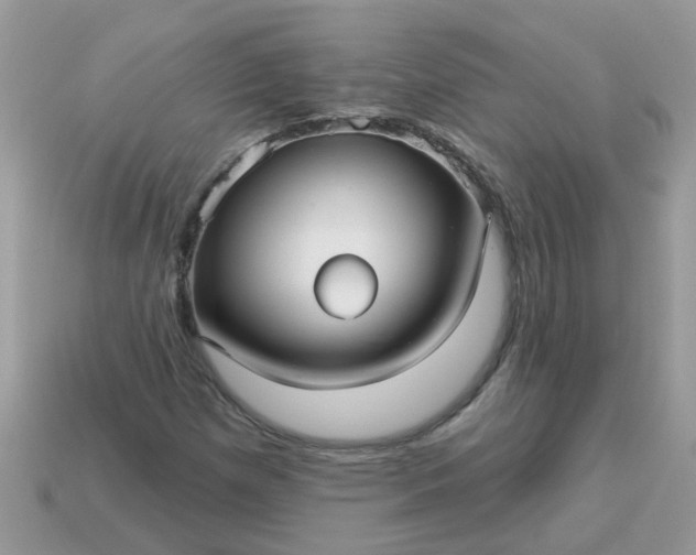 X0000113051257200909101932