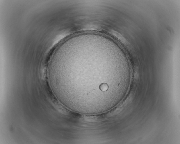 X0000113051258200909101932