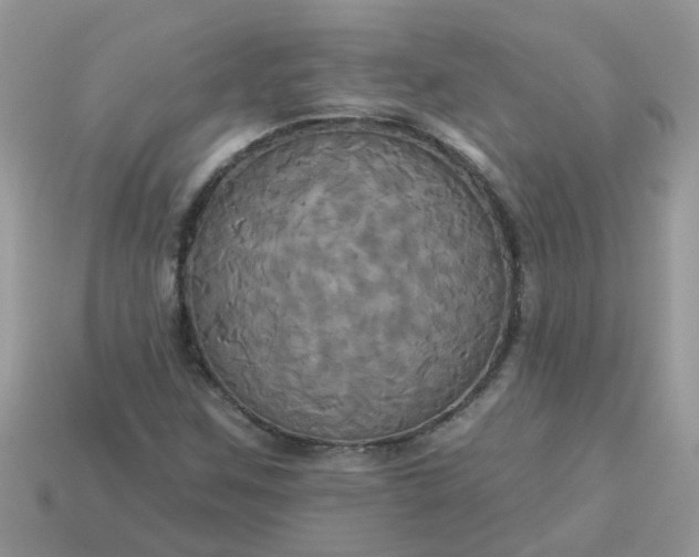 X0000113051259200909101932