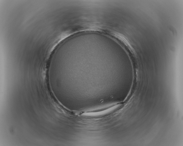 X0000113051260200909101932