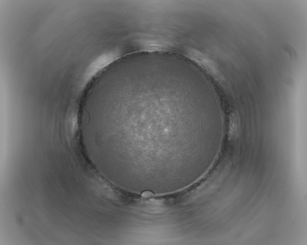 X0000113051261200909101932