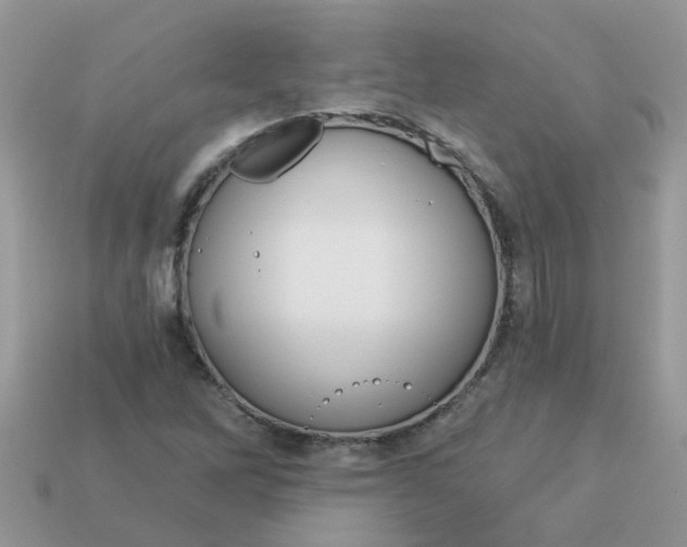 X0000113051262200909101932