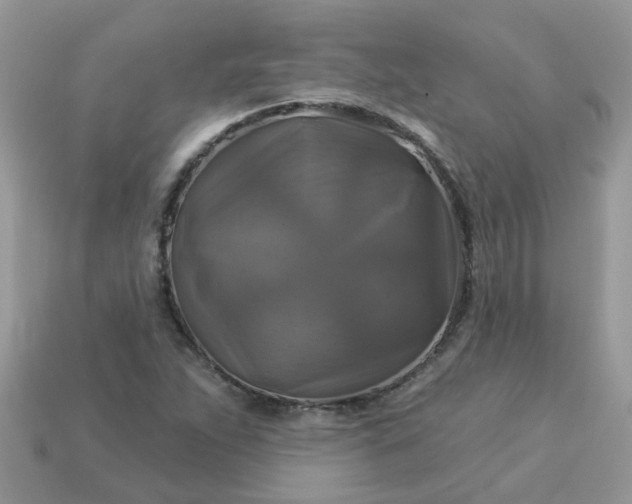 X0000113051263200909101932