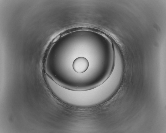 X0000113051264200909101932