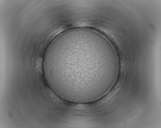 X0000113051265200909101932