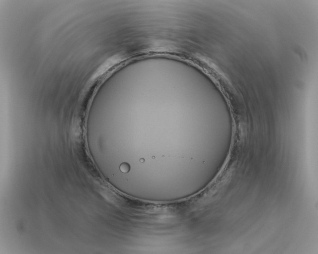 X0000113051266200909101932