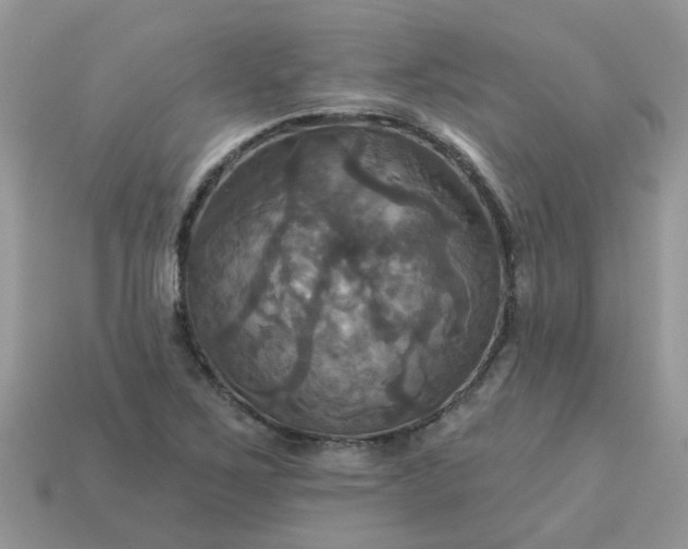 X0000113051267200909101932