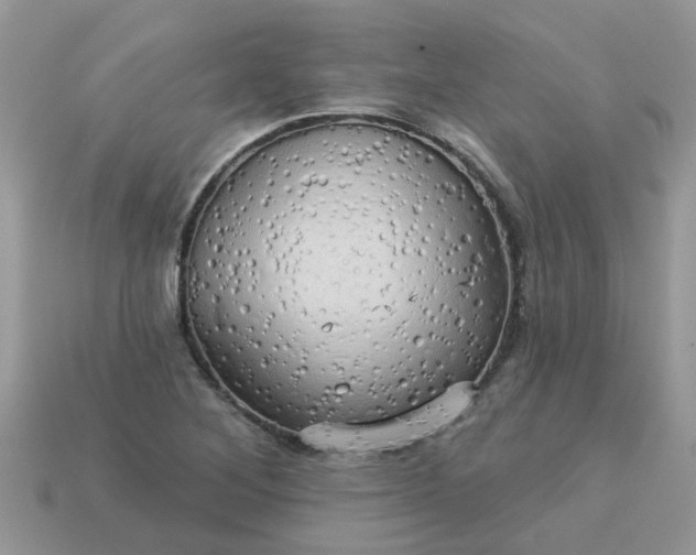 X0000113051268200909101932