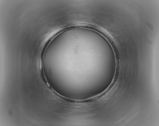 X0000113051269200909101932