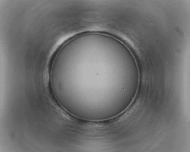 X0000113051270200909101932