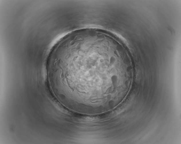 X0000113051271200909101932