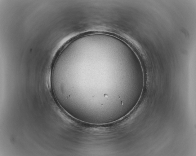 X0000113051272200909101932