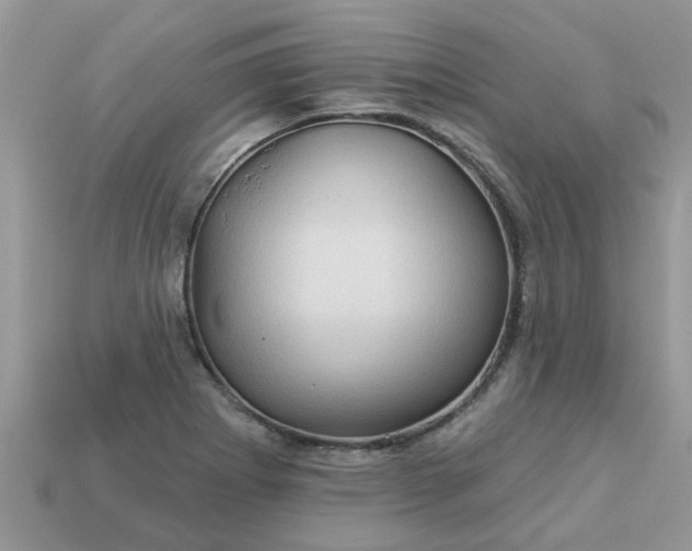 X0000113051273200909101931