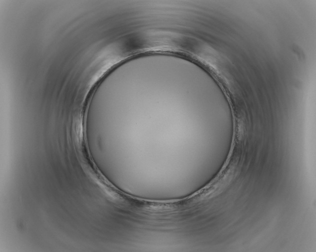 X0000113051274200909101931