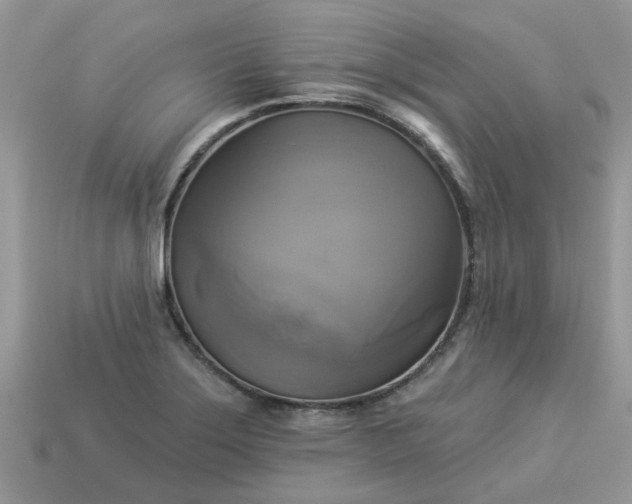 X0000113051275200909101931