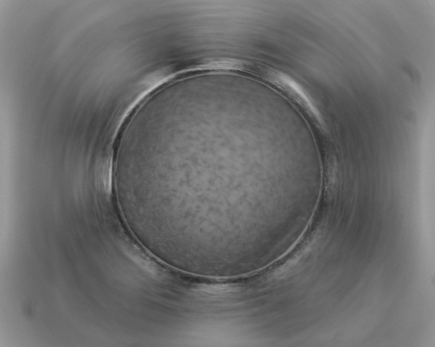 X0000113051276200909101931