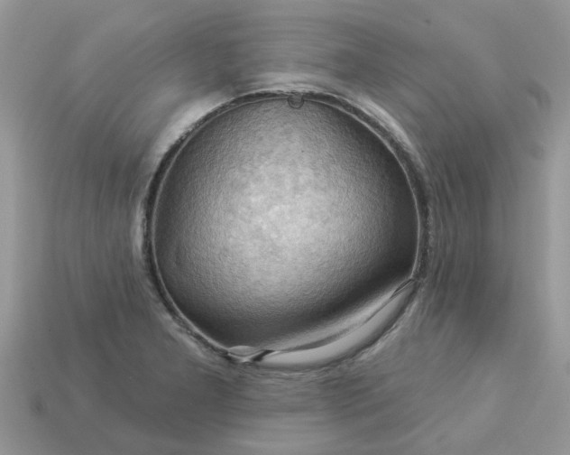 X0000113051277200909101931