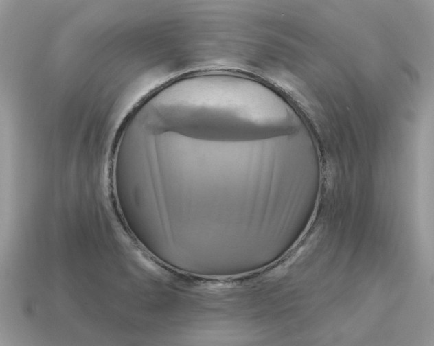 X0000113051278200909101931